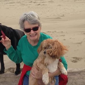 Meet your Posher, Donna